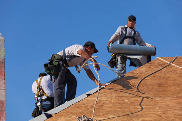 Best Sealant for Roof  in Delft Colony, CA