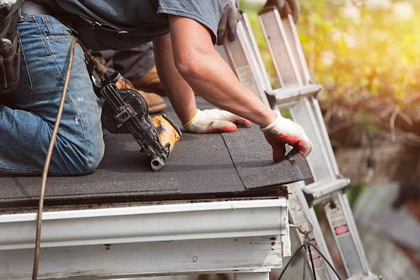 Best Roof Leak Repair  in Delft Colony, CA