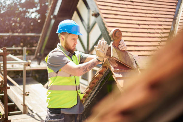 Best Local Roofing Companies  in Delft Colony, CA